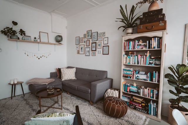 cozy-living-room-with-gray-sofa-bookshelf-gallery-wall-and-plants