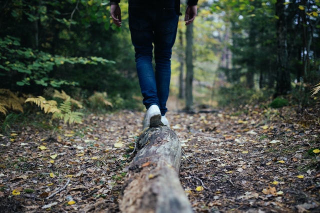 person walking on a log on a hiking trail